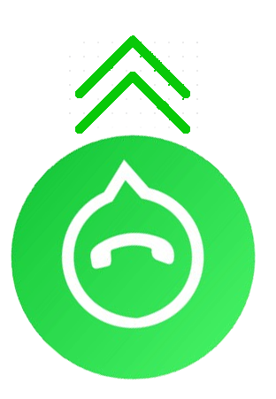 WhatsApp Icon